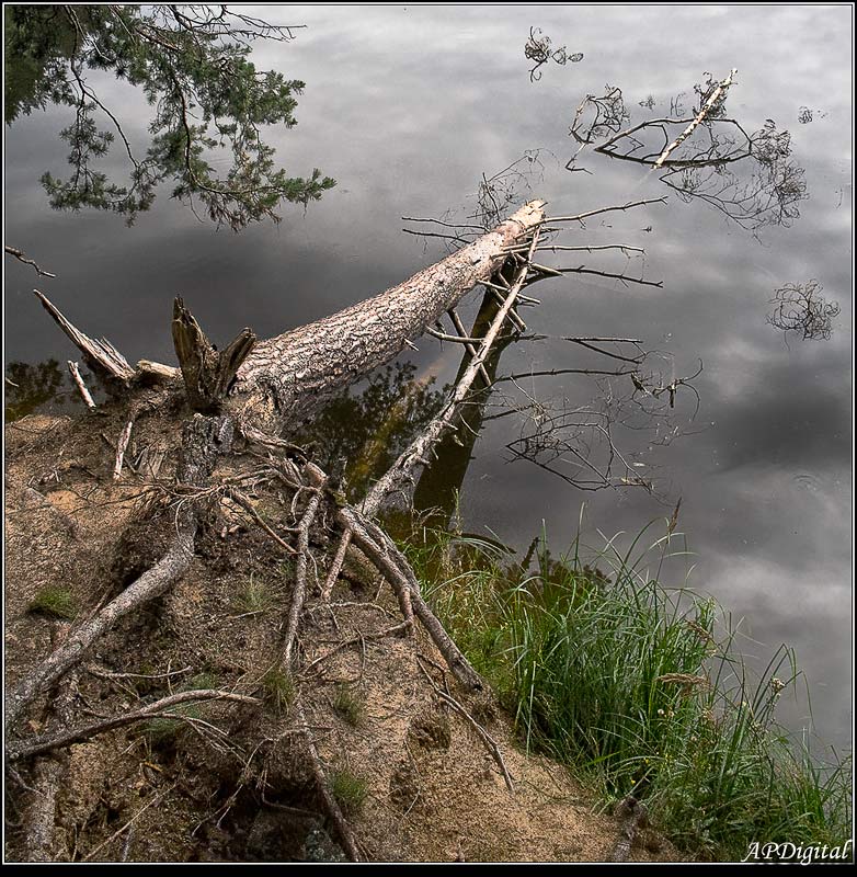 вода, земля, небо, A_Pol