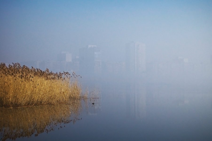 туман, утро, Михаил Мочалов