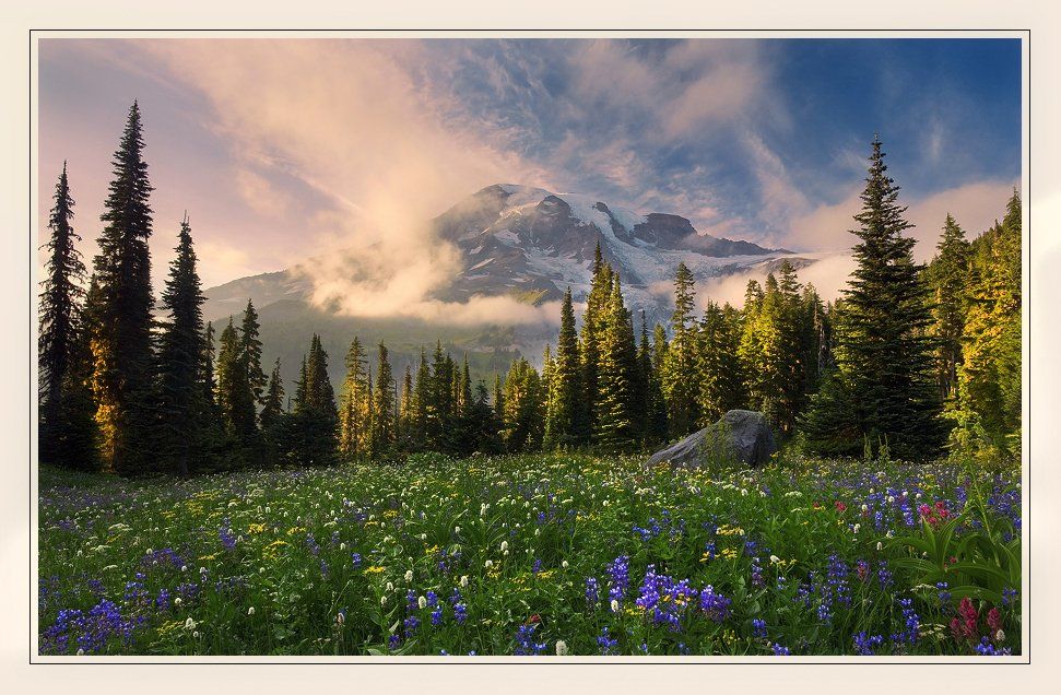 mt. rainier,  washington st., Ben Marar