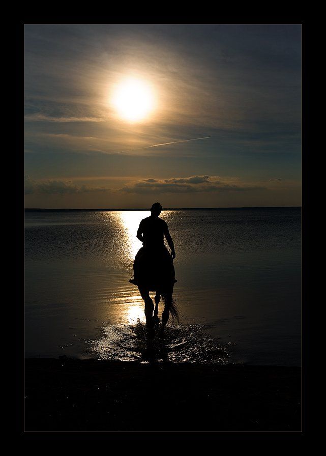 озеро, лошадь, закат, tolyan139