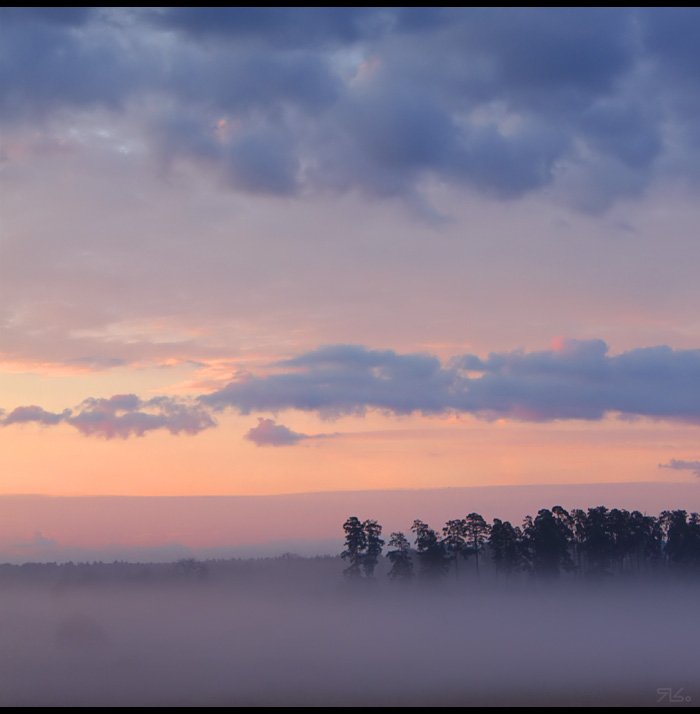 утро, туман, прохлада, Константин Янситов