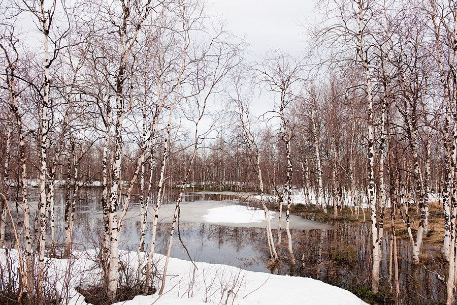 природа, весна, пейзаж, Danil Husainov