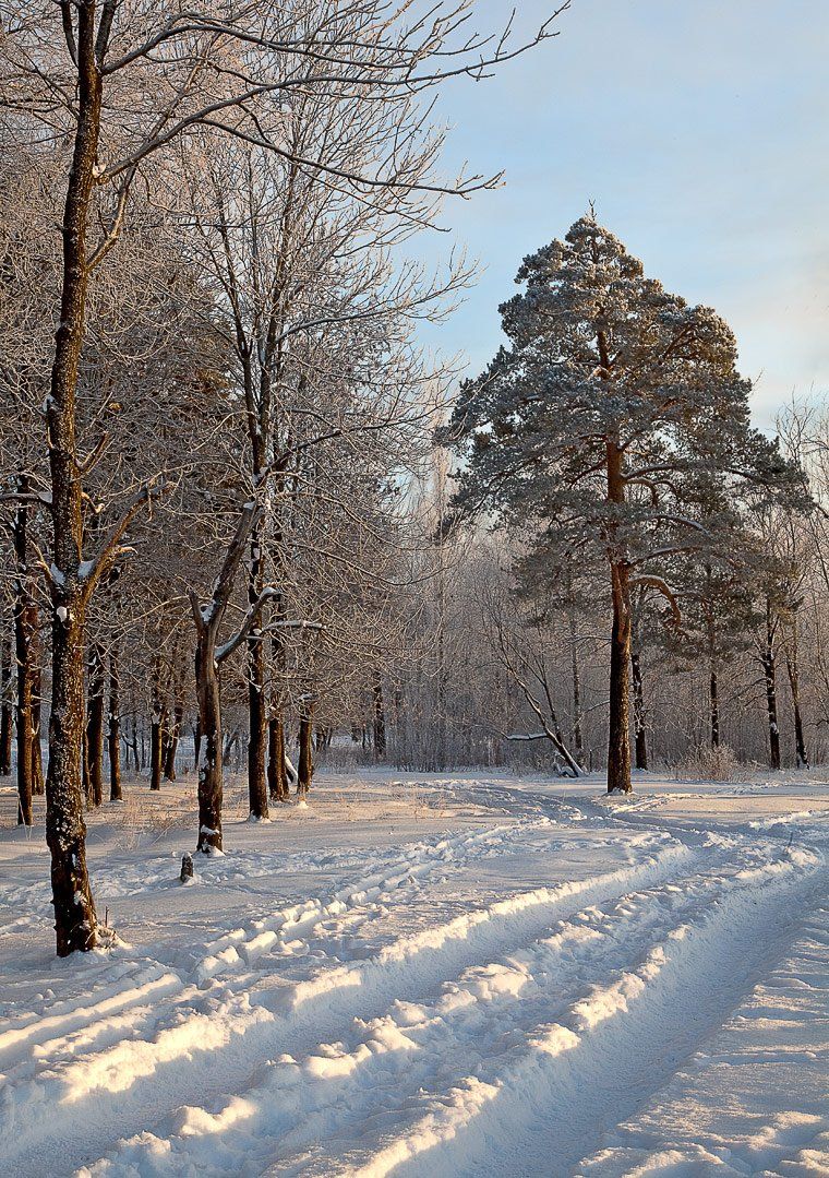 пейзаж,зима,снег, Иван