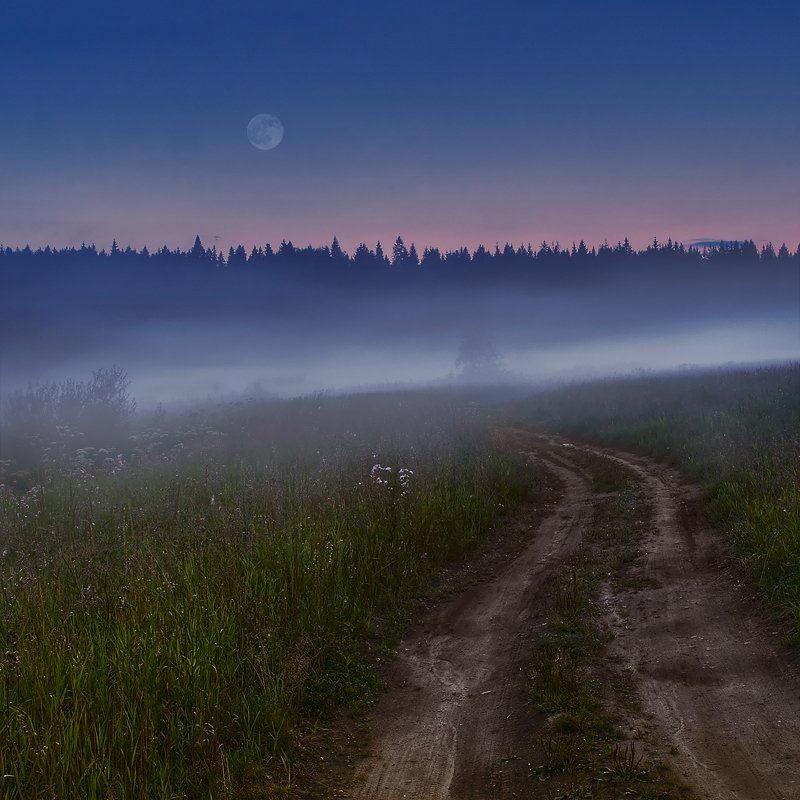 поле, вечер, луна, дорога, трава, пейзаж, Oleg Dmitriev