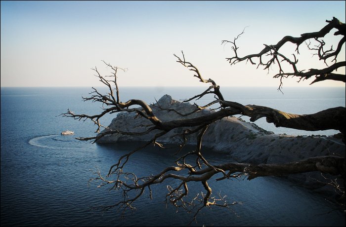 корабль, море, юг, мыс, бухта, дерево, Sergey Nikolayev