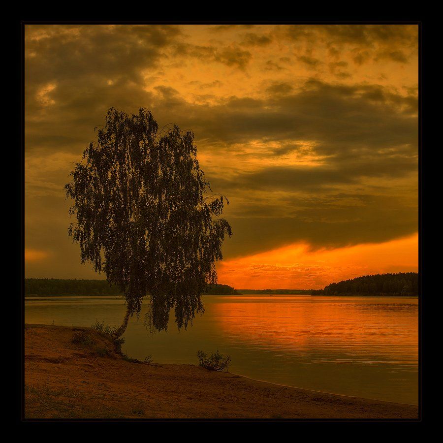 пейзаж, деревья, небо, закат, вода, отражения, Oleg Dmitriev