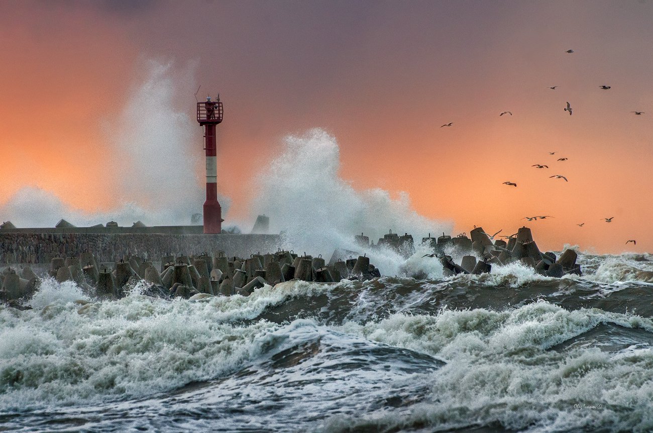 Семей шторм. Балтийское море шторм. Шторм в Балтийске. Балтийское море штормит. Балтийск Маяк море.