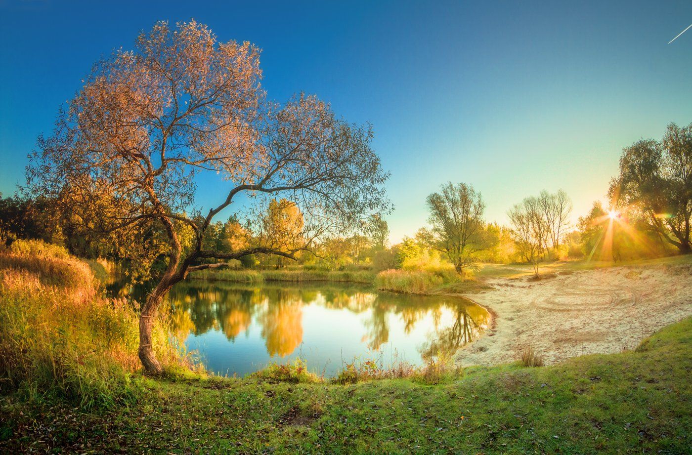 беларусь, Серж Домбровский