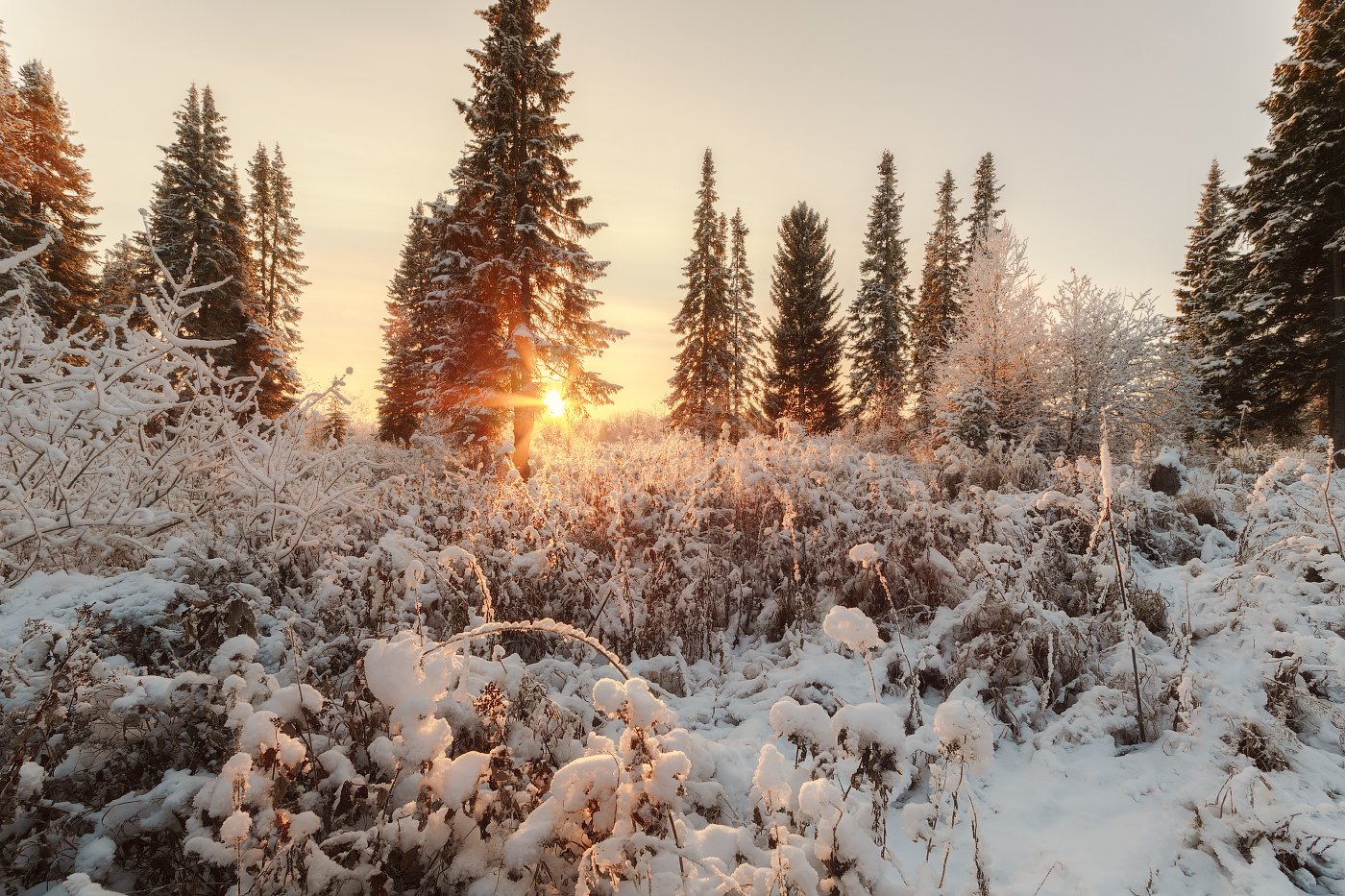 печора,коми,север,ноябрь,снег, Игорь Подобаев