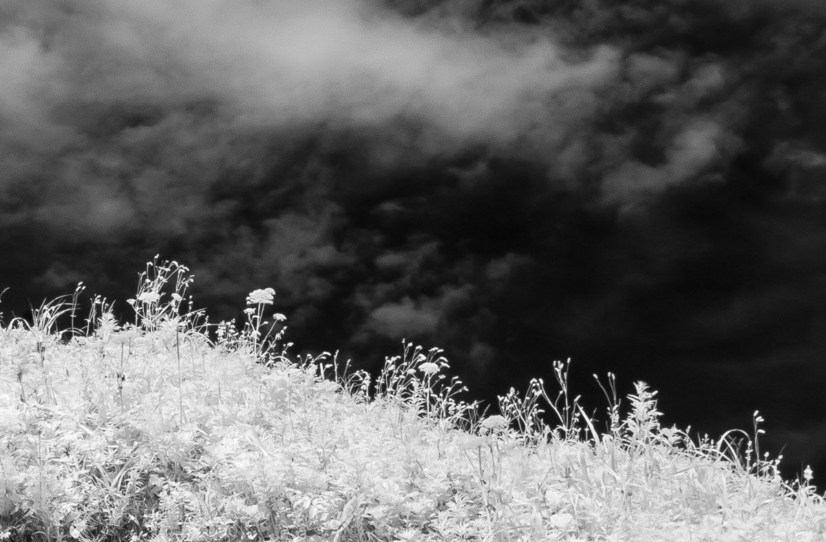 Инфракрасная фотография, Кунашир, Курильские острова, ir, трава, небо, силуэт, Сергей Козинцев