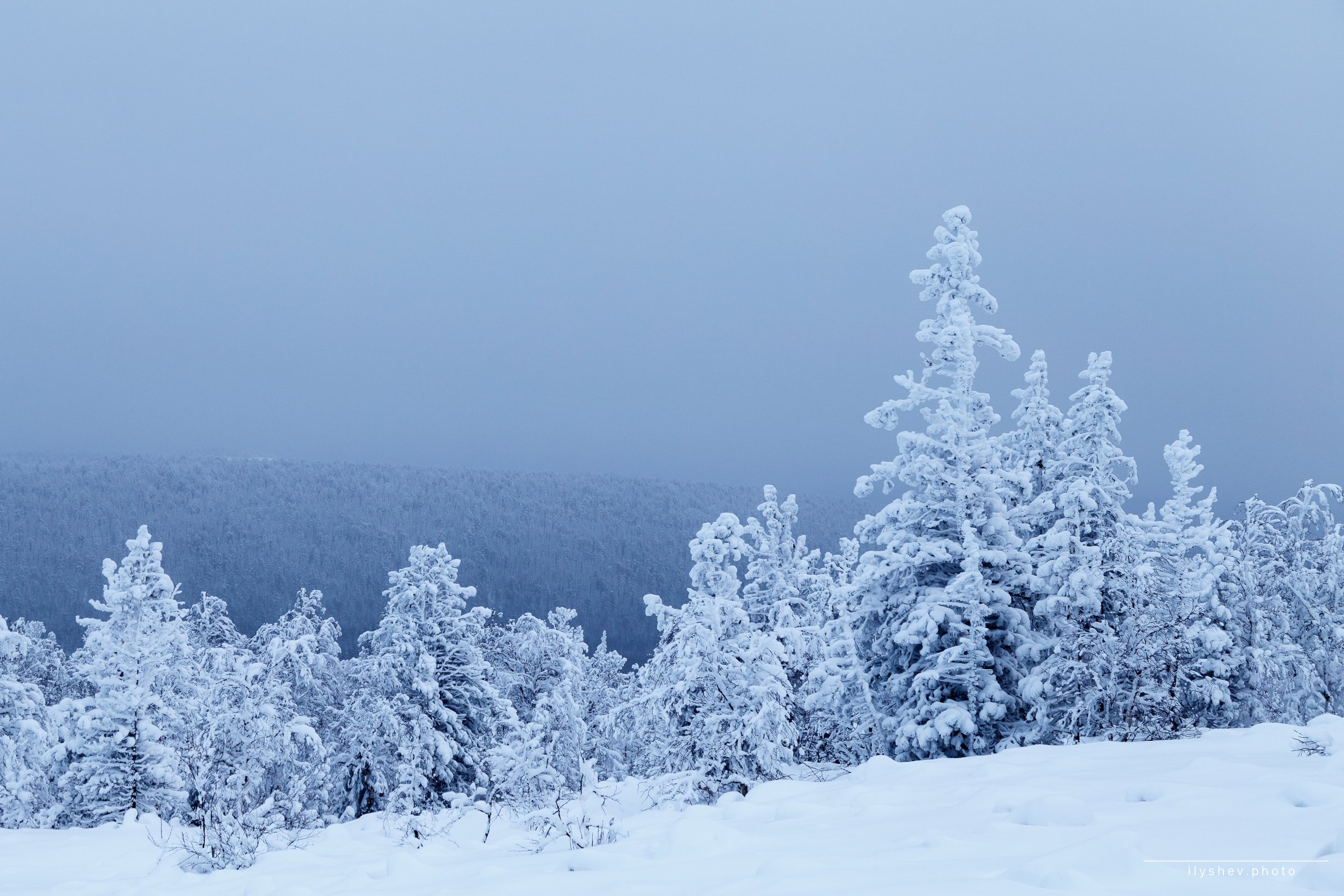 природа, пейзаж, зима, снег, елки, урал, россия, ГУХ, северный урал, Dmitry Ilyshev