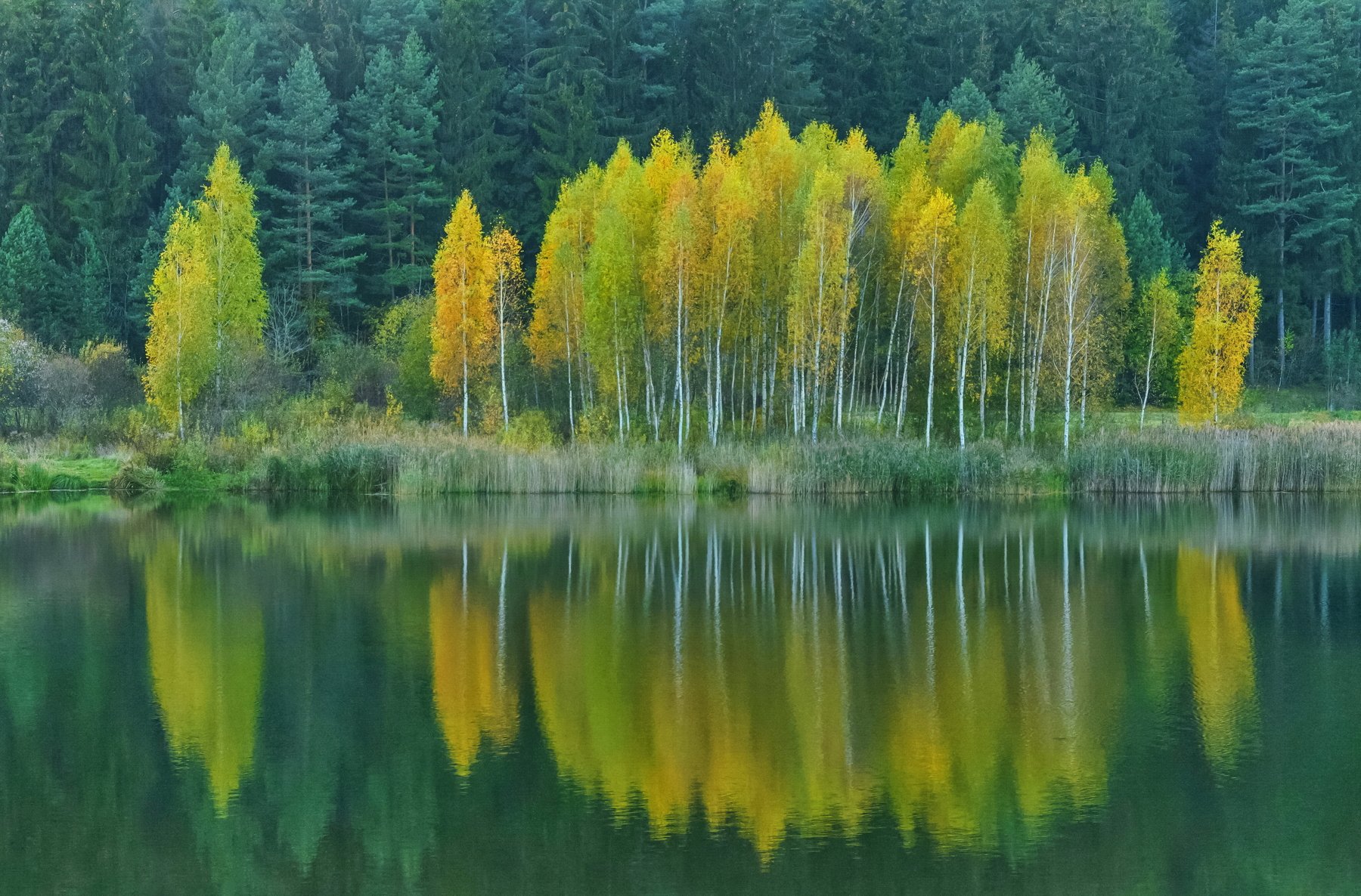 осень отражение природа, Александр Гвоздь