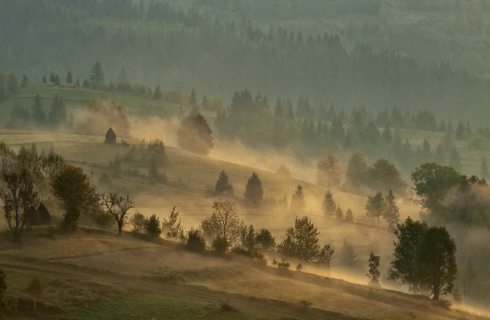 горы, карпаты, осень, туман, утро, Михаил Глаголев