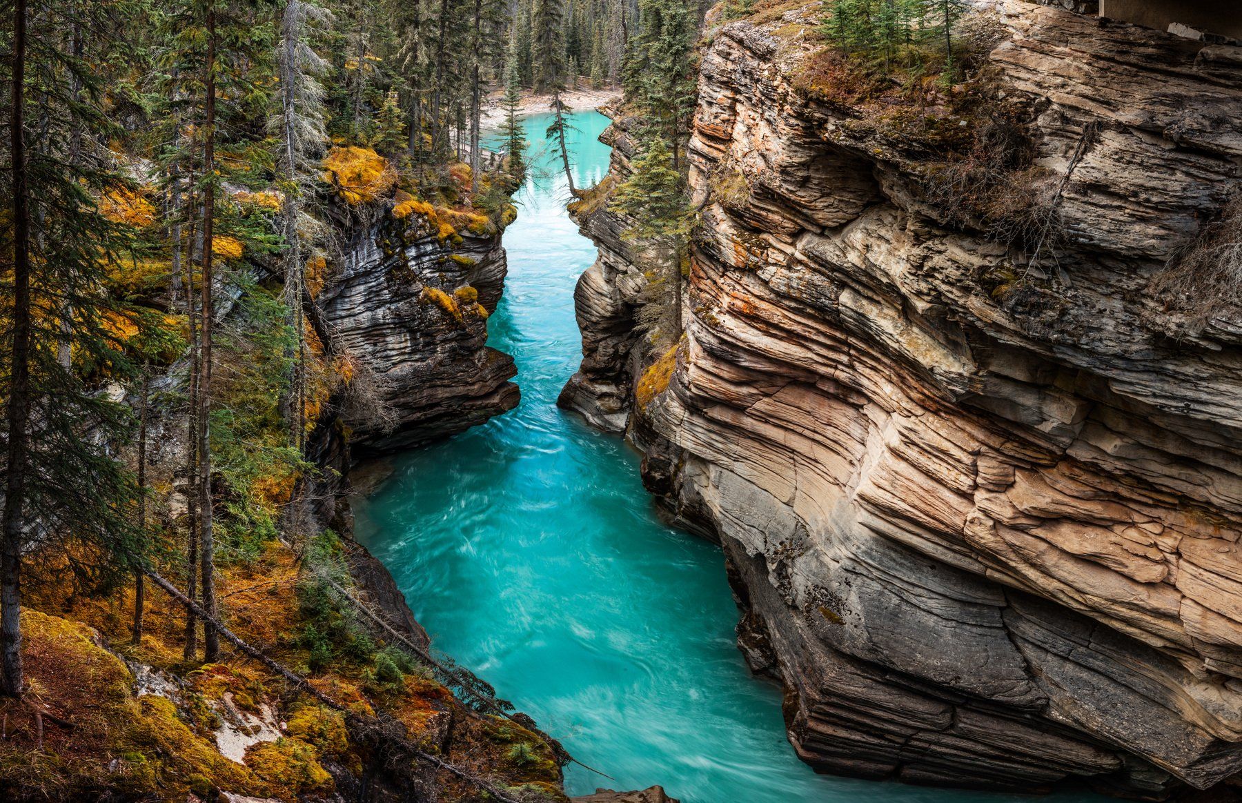 Athabasca Falls, Canada, Канада, Алексей Сулоев