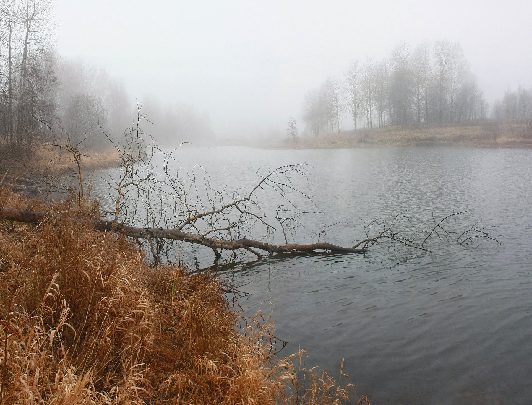 осень, туман, озеро, Свистков Александр