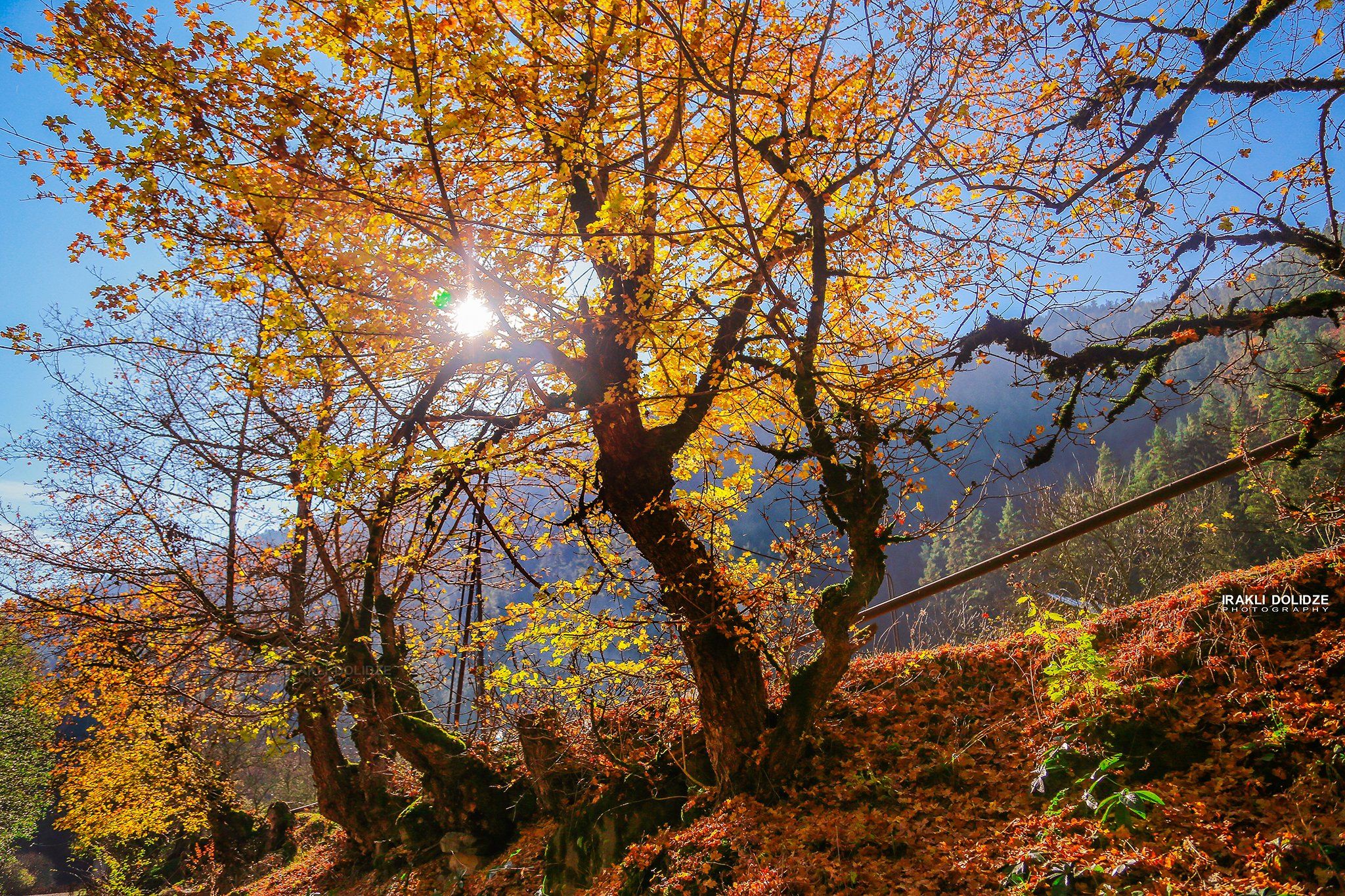 landscape, autumn, sun, photography, beautiful, hiking, trip,, ირაკლი დოლიძე