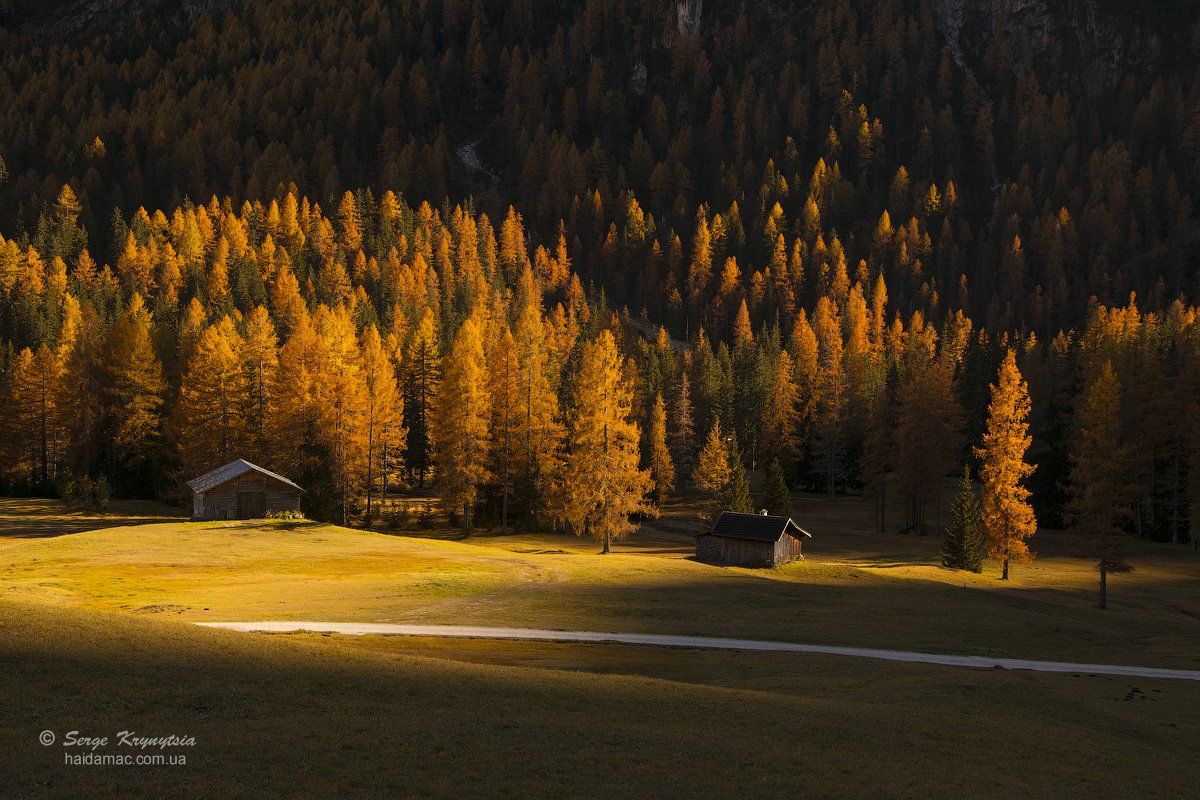 autumn, dolomites, fall, yellow, sunlit, light, italy, mountains, valley, Haidamac