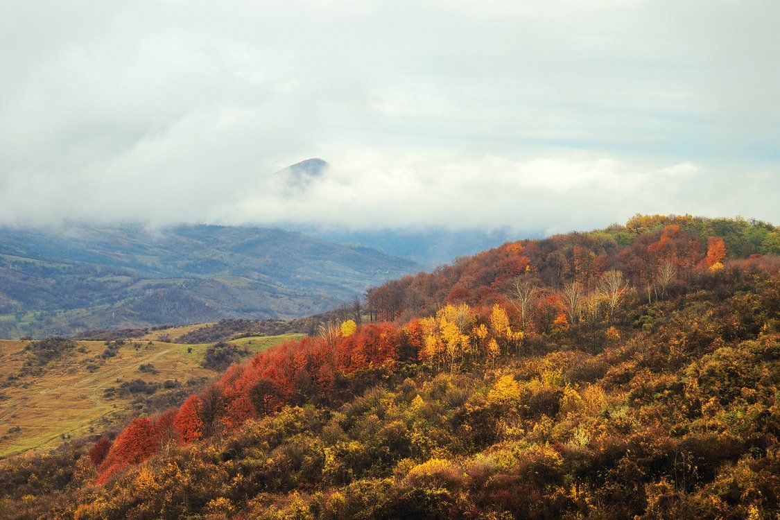 , Stefan Chirobocea