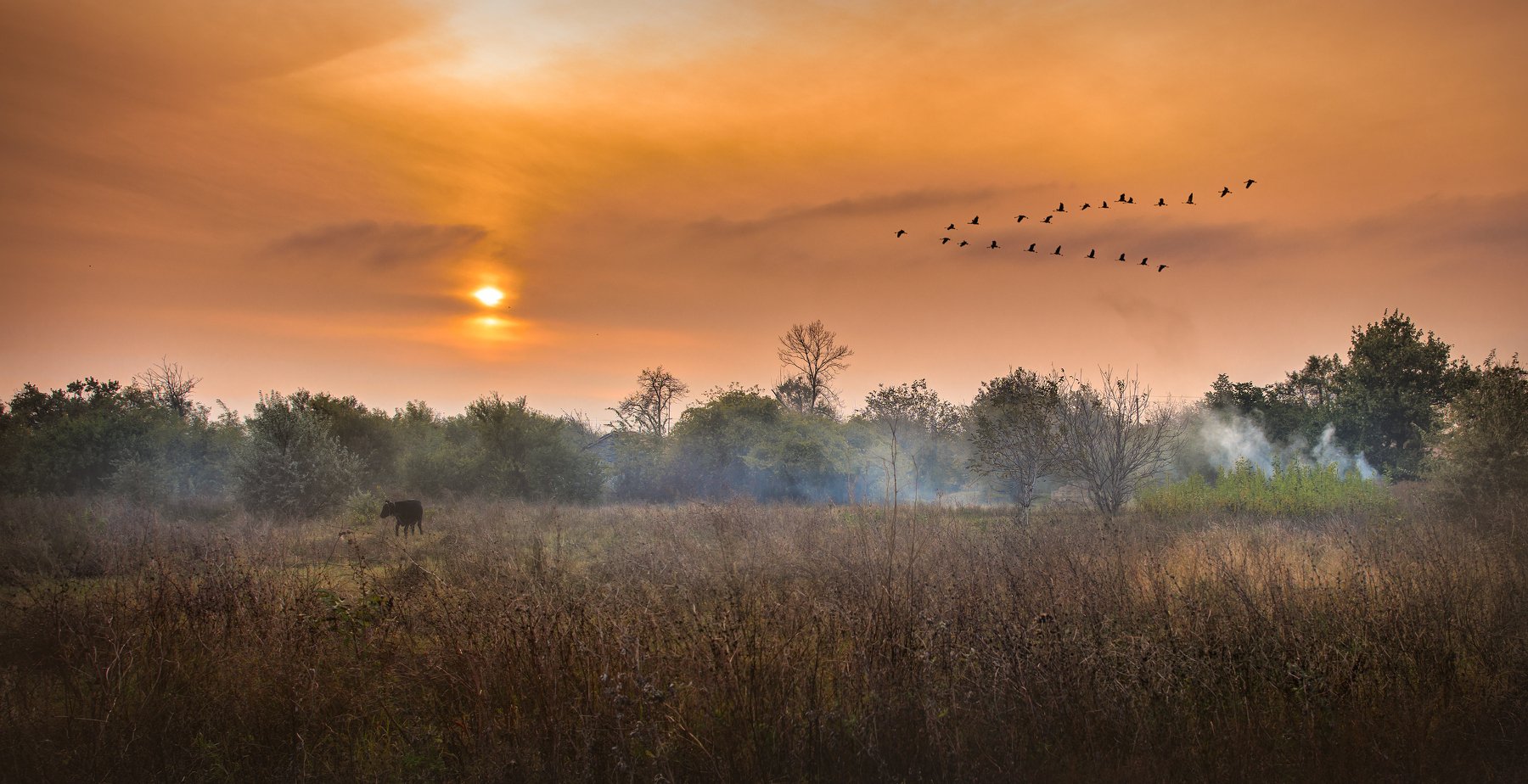 autumn,birds,flock,cow,grass,fire,smoke,trees,sky,evening,sun,sunset,haze,fog , Сергей Нестеров