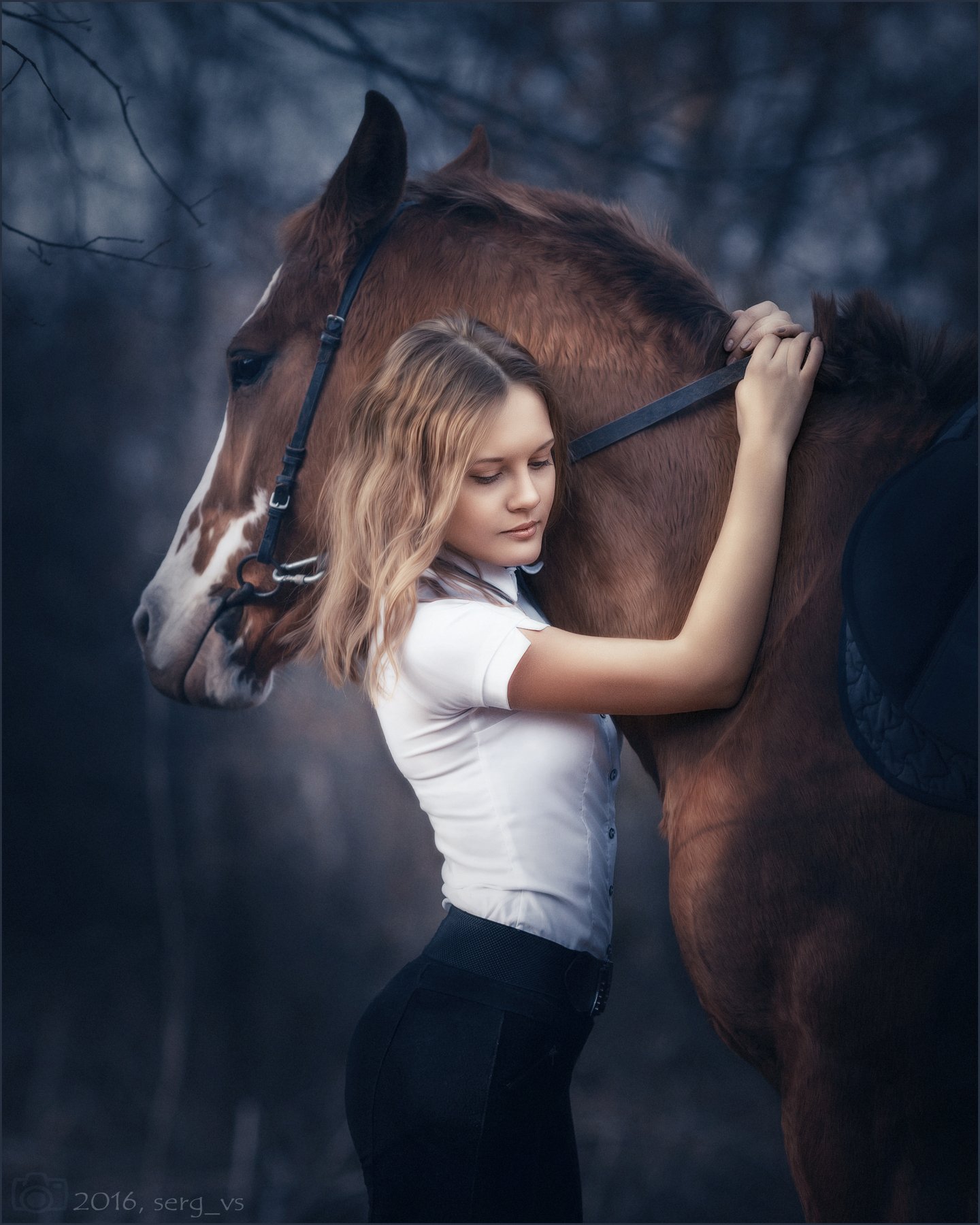 портрет девушка лошади жанр, Сергей Сатуло