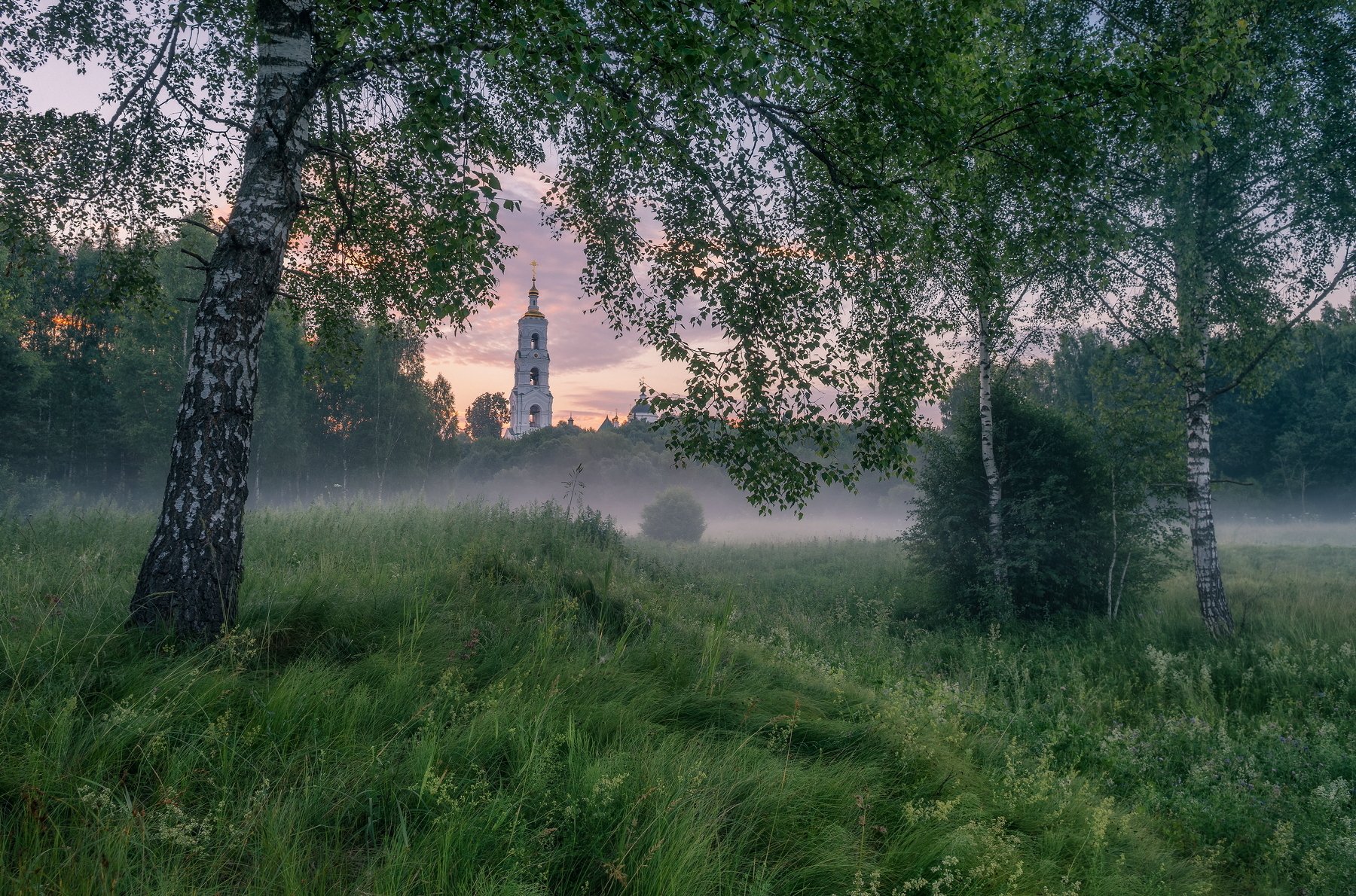 Пейзаж Россия Авдотьино путешествия церкви природа утро рассвет туман березы трава , Сергей Давыдов
