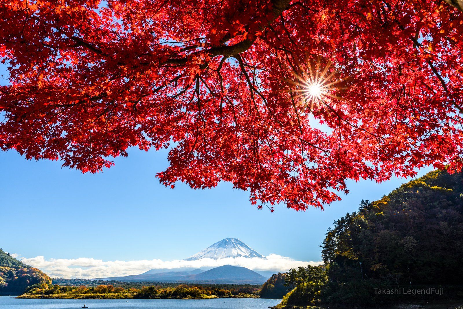 Fuji,mountain,Japan,lake,water,sky,blue,red,leave,autumn,tree,sun,cloud, Takashi