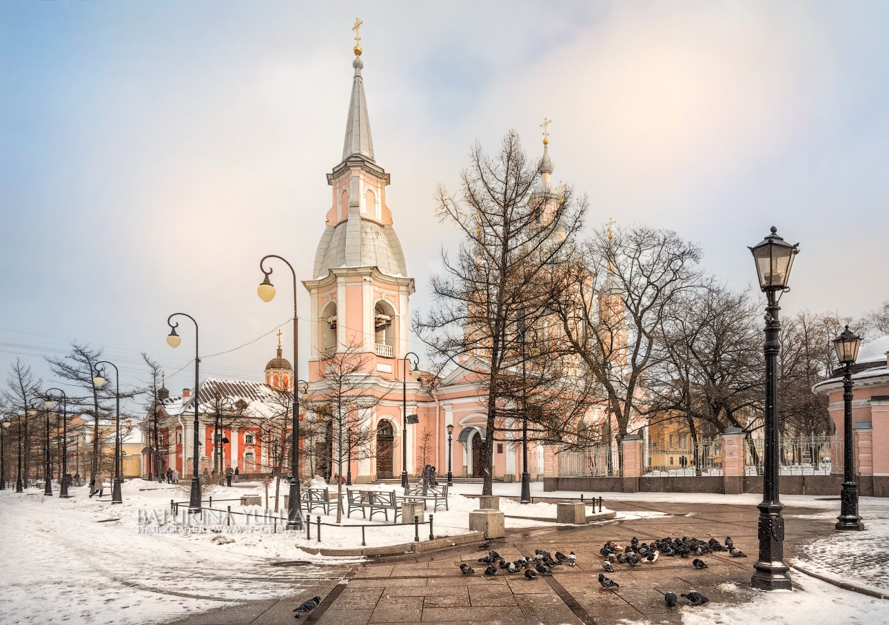 Санкт-Петербург, Андреевский собор, голубь, зима, снег, Юлия Батурина
