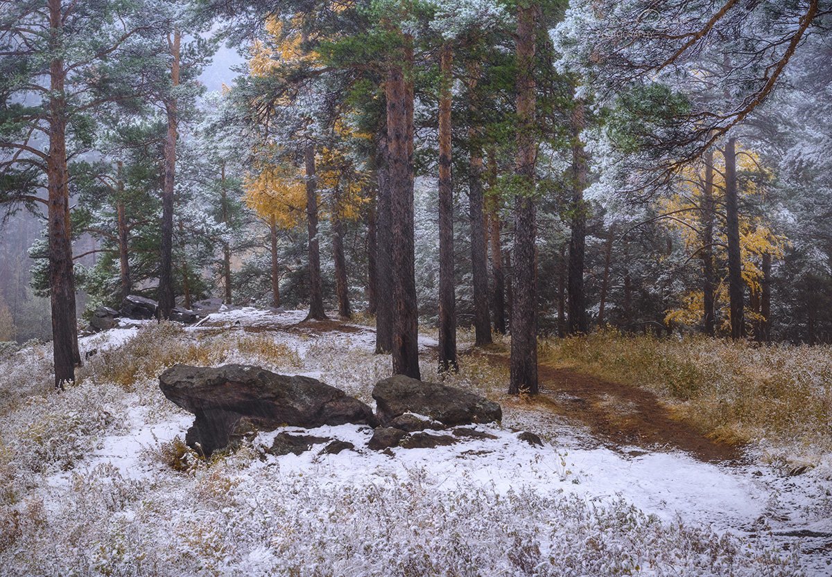 снег, дождь, туман, осень, зима, Марина Огнева