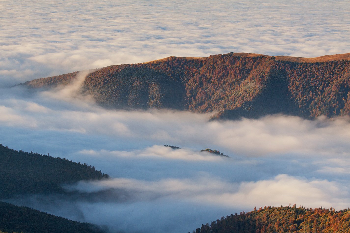  Romania, transalpina, fog, mountains,, Anna