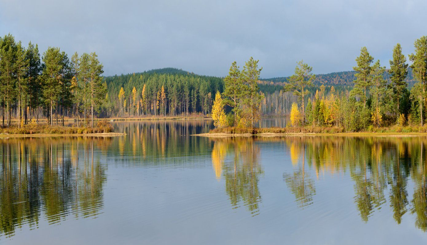 осень вода лес отражения туча, Воинков Виктор