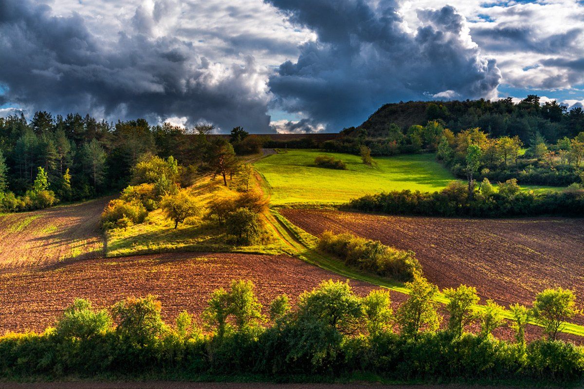 , Юрий Юрьев