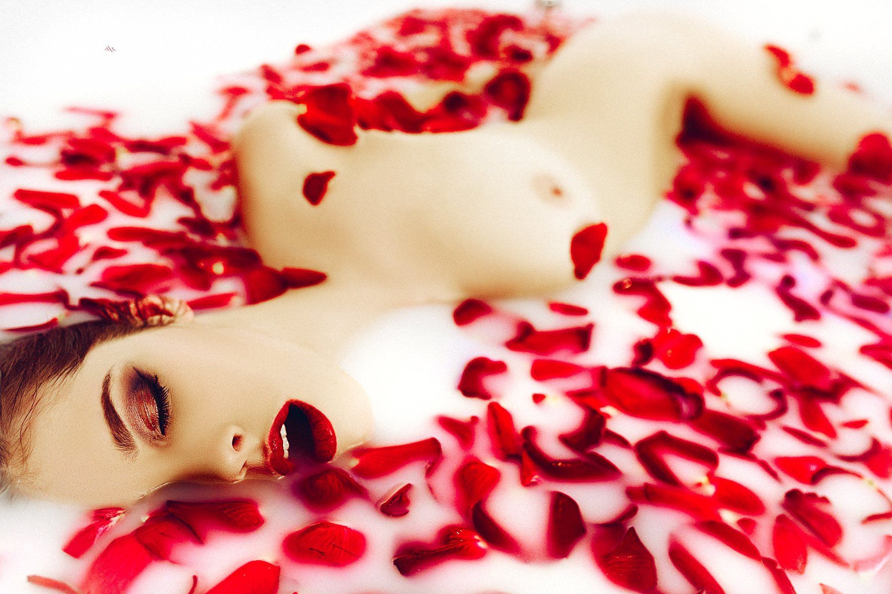 woman, roses, beauty, milk, red, white, nude, Руслан Болгов (Axe)