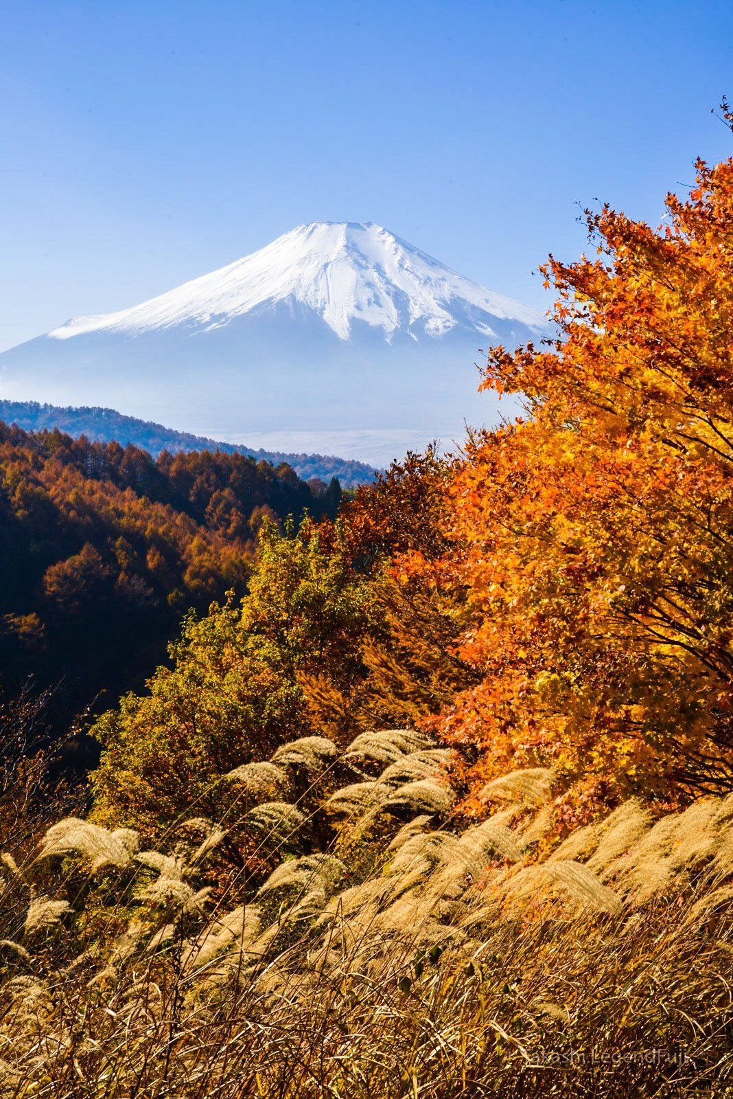 fuji,mountain,autumn,yellow,orange,blue,sky,japan, Takashi