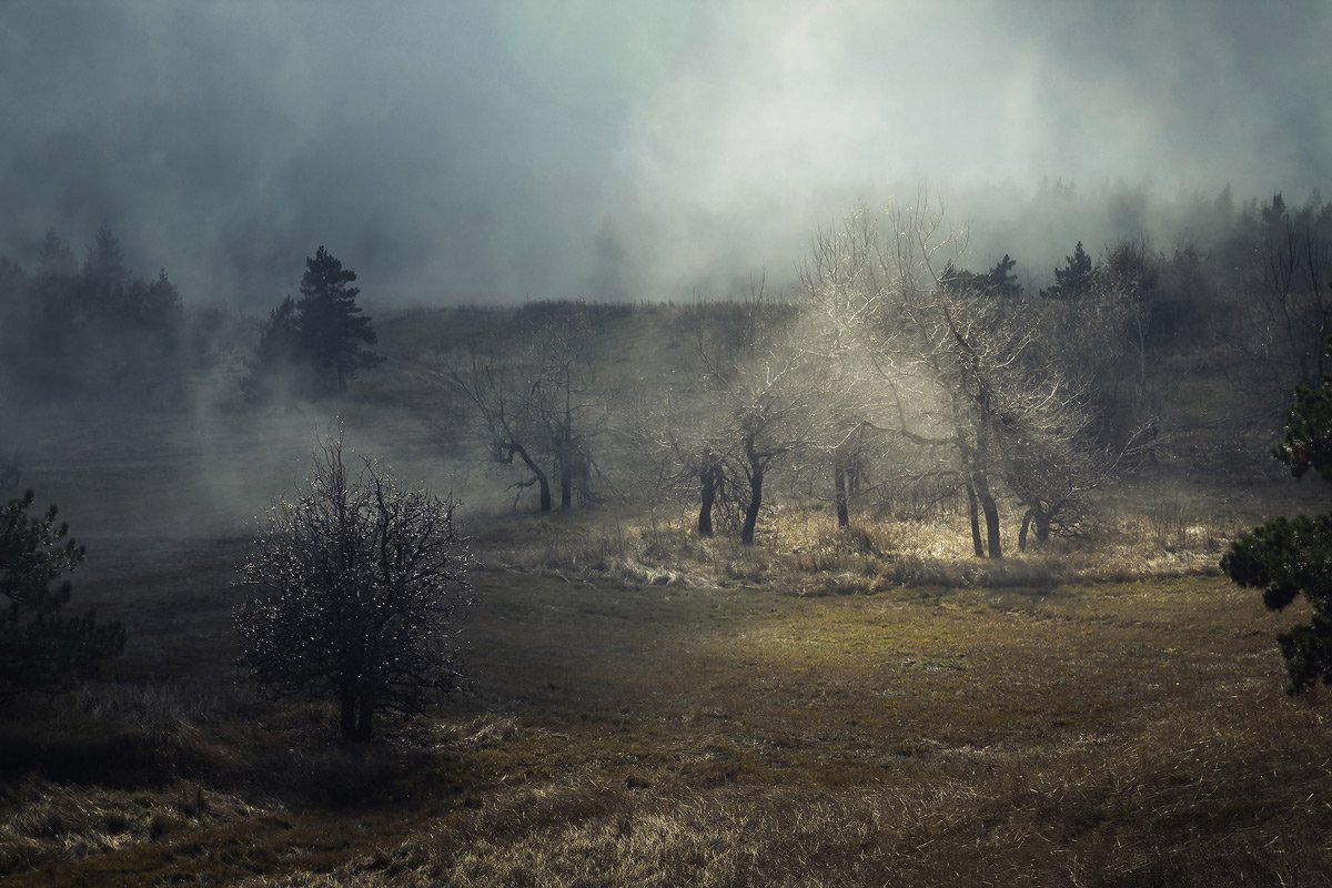 крым, горы, туман, мистика, облако, яйла, ай-петри, затерянный мир, Алексей Медведев