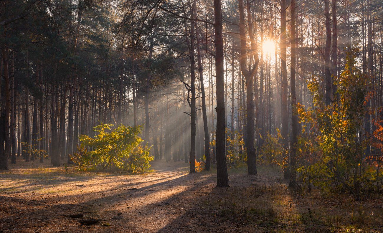 Last morning. Последнее утро.