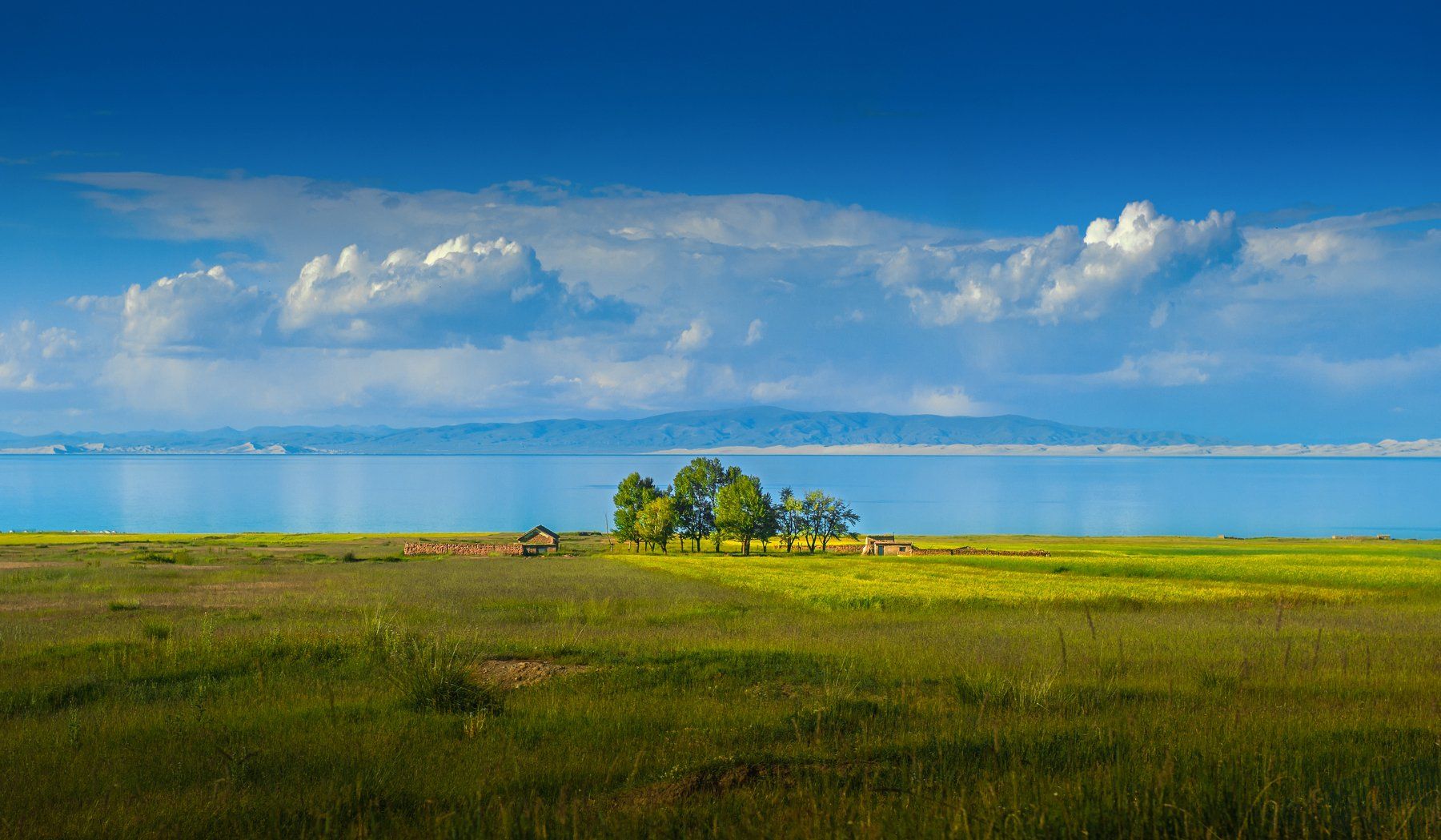 landscape, 郝鸿博