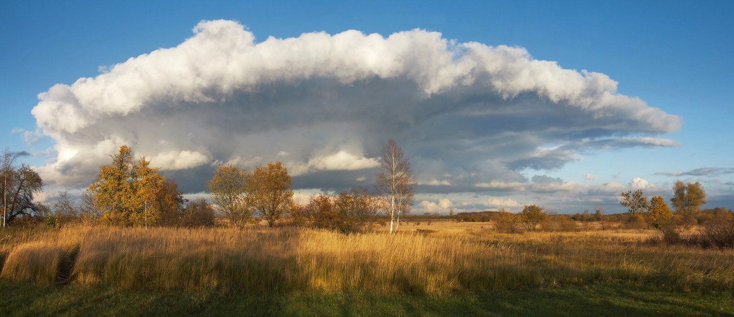 осень, облако, поле, деревья, трава, Владимир Петрукович