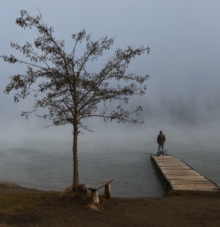 туман, человек, вода, дерево, Елена Шевченко