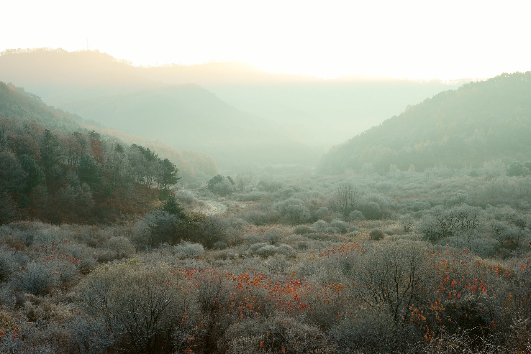 asia,korea,south korea,gangwondo province,nature,mountain,valley,autumn,frost,fog,light, Shin