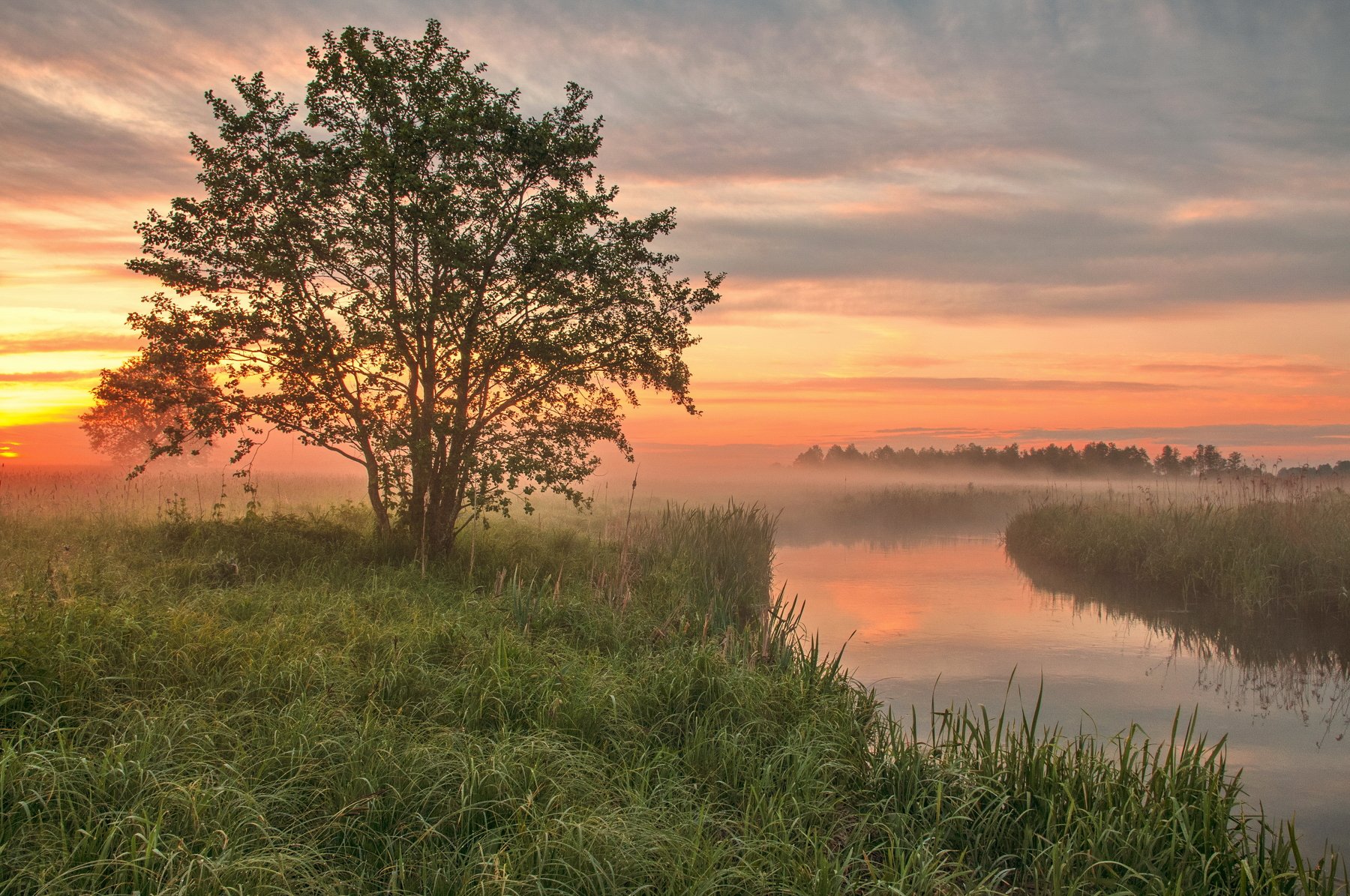 утро туман природа речка, Александр Гвоздь