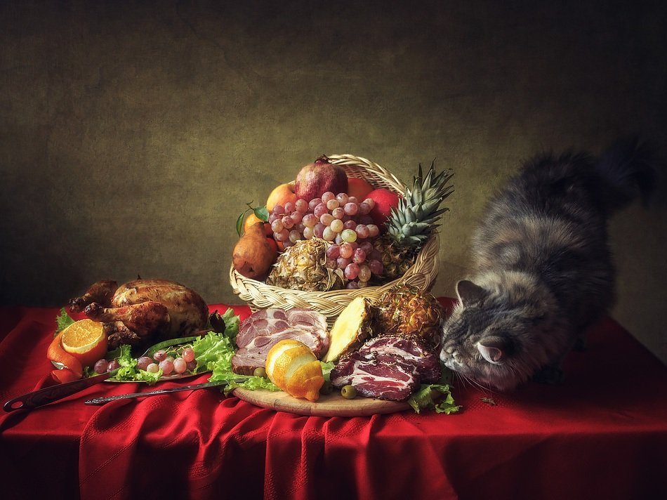 фото, кошка масяня, копченое мясо, курица гриль, зелень, корзина фруктов, Ирина Приходько