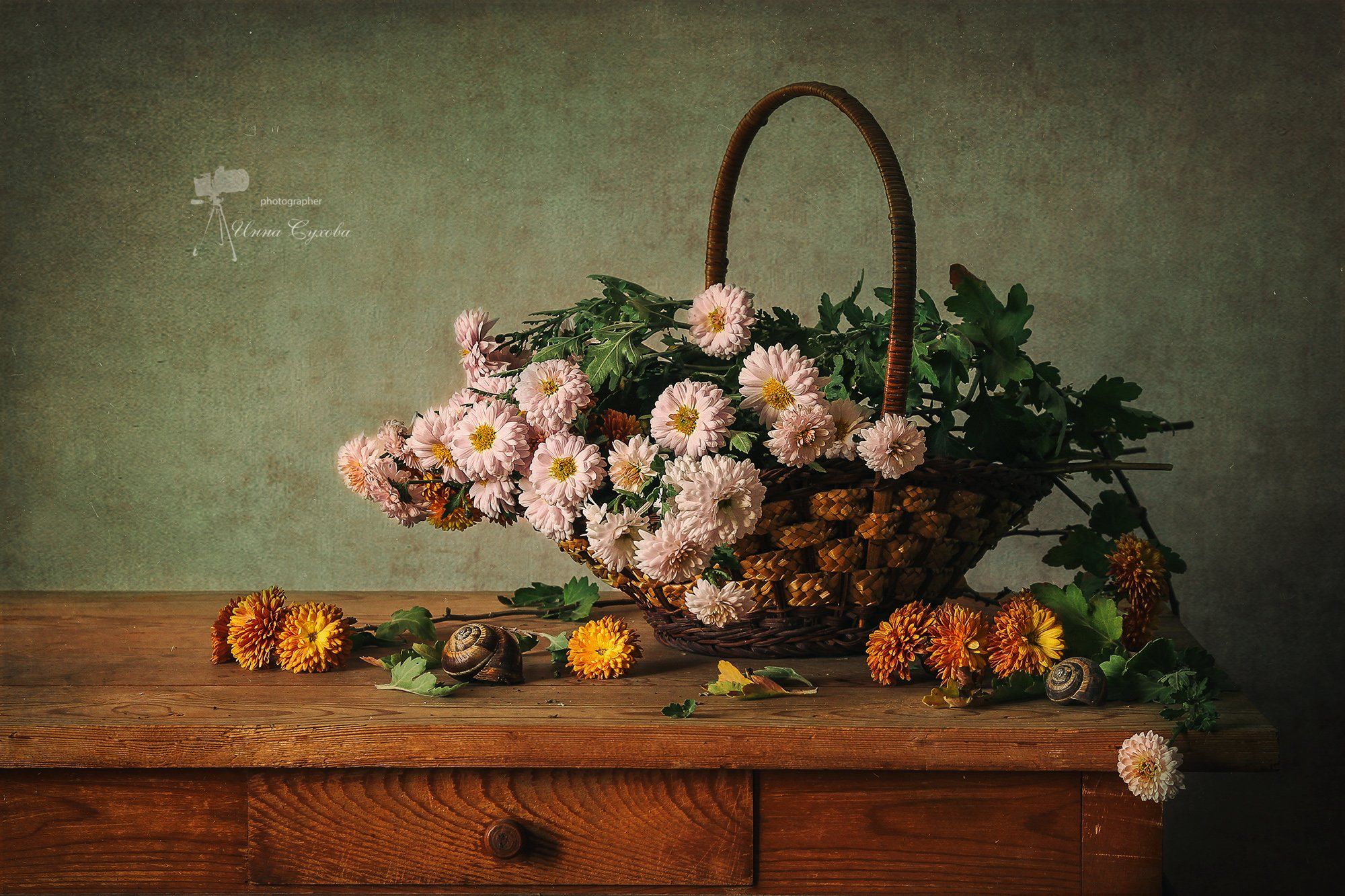 натюрморт,хризантемы,букет,цветы,корзинка,осень,улитка, Инна Сухова