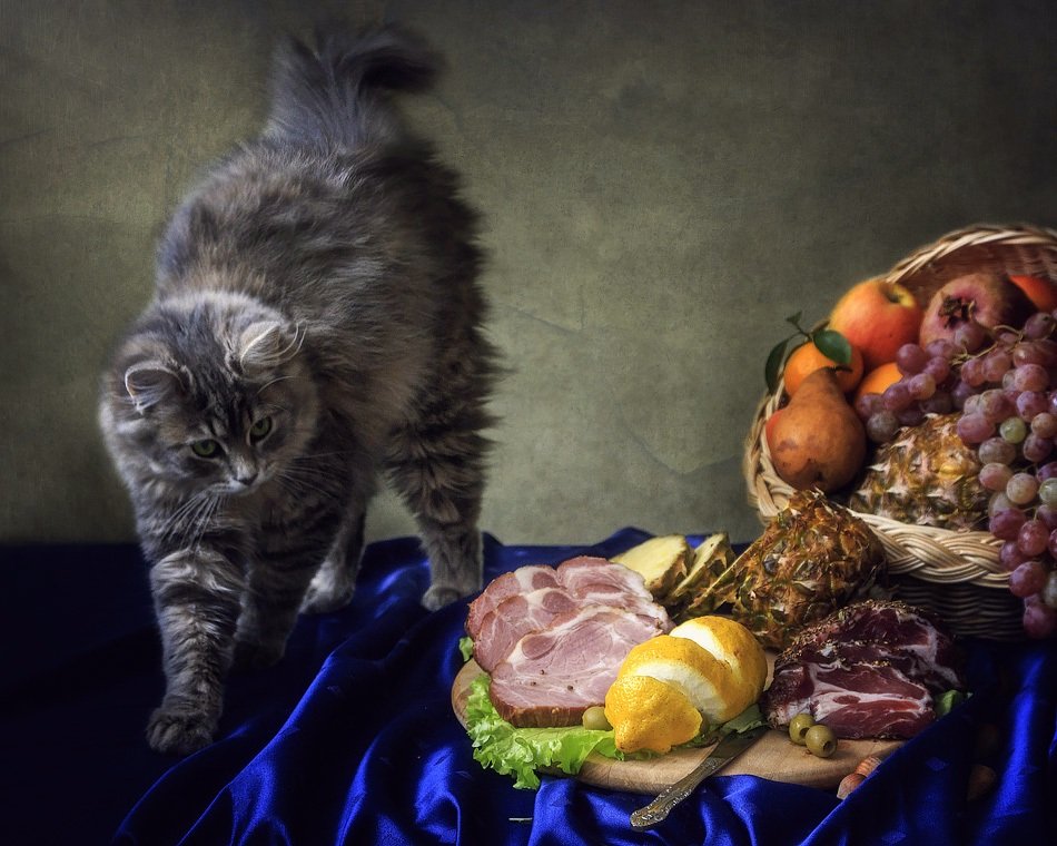 фото, кошка масяня, копченое мясо, корзина фруктов, Ирина Приходько