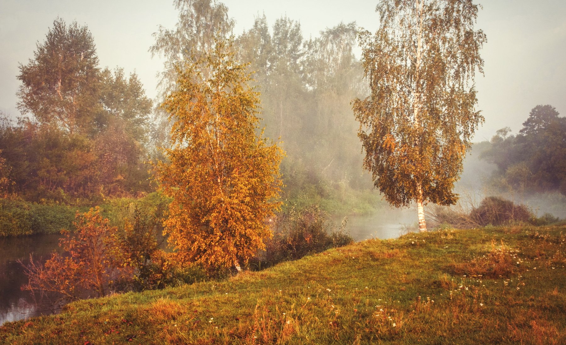 утро туман природа речка, Александр Гвоздь