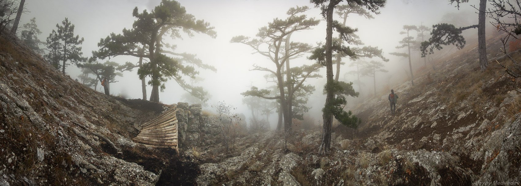 крым, горы, туман, мистика, облако, яйла, ай-петри, лес, Алексей Медведев