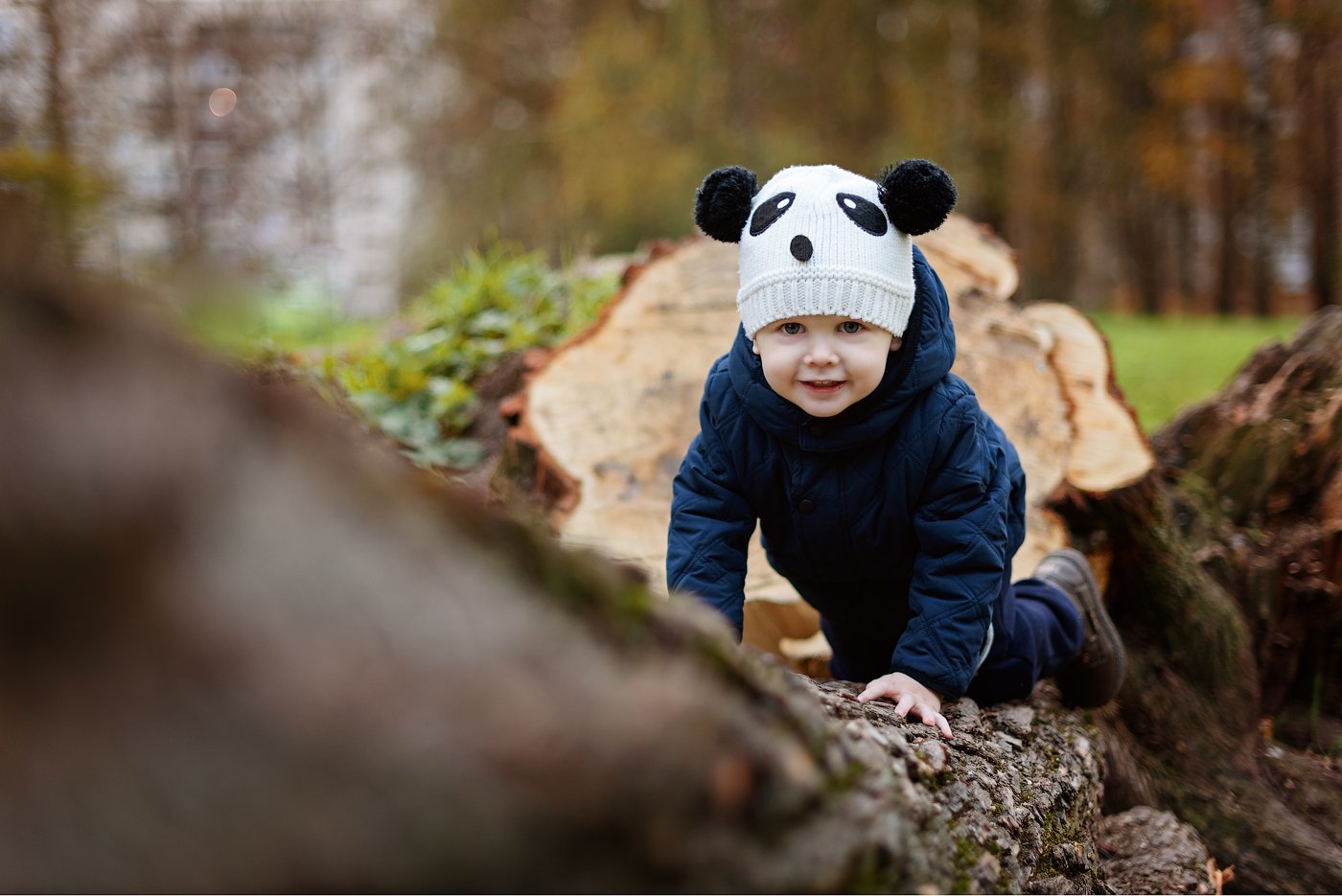 мальчик, дерево, панда, осень, парк, Юлия Полуэктова