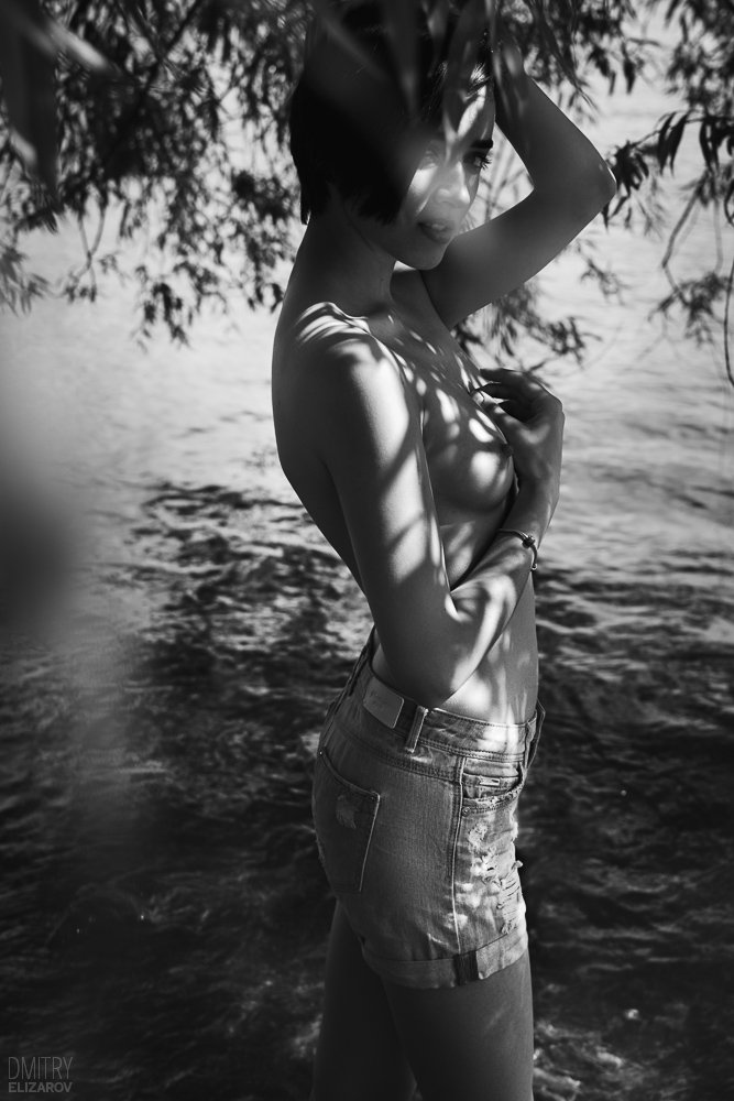 , Дмитрий Елизаров