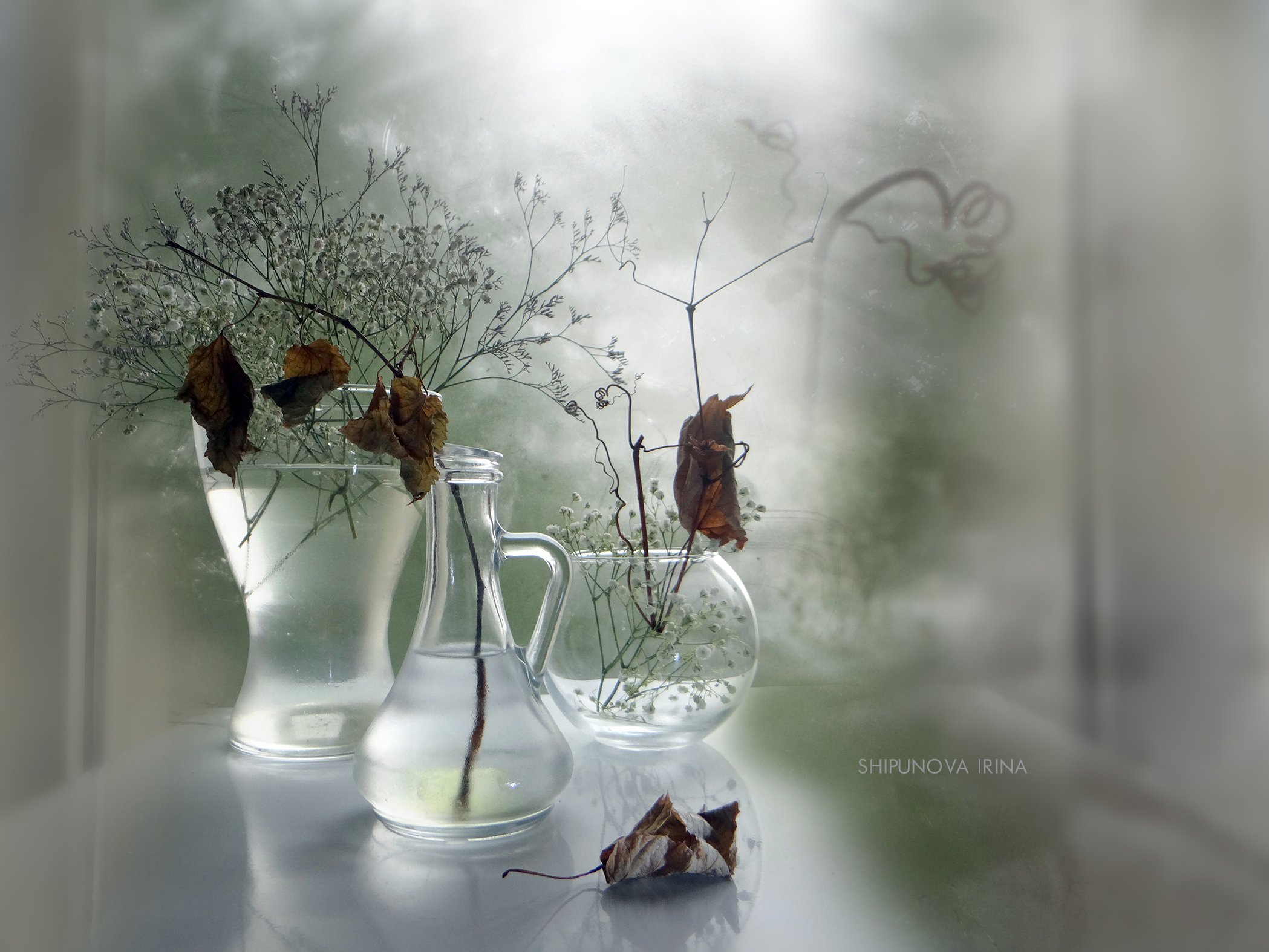 осень сухоцвет листья прозрачность стекло, Шипунова Ирина