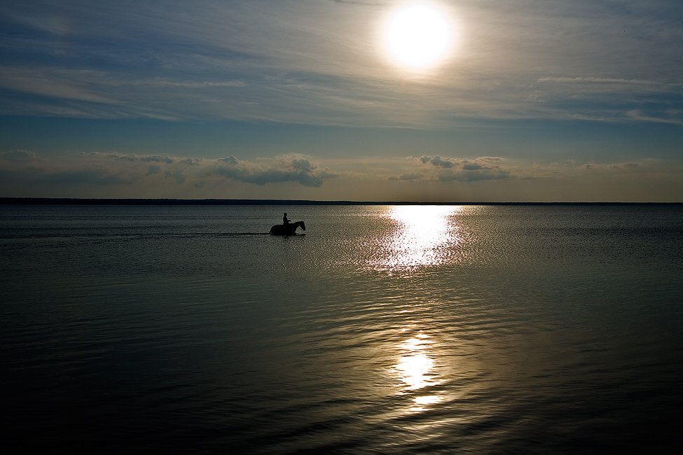 озеро, конь, закат, tolyan139