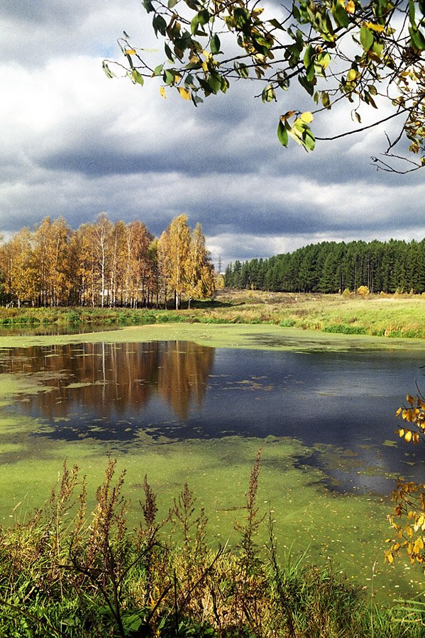 осень, река, лес, небо, облака, Сергей Пестерев